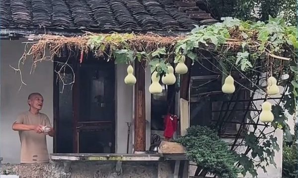 Phiền toái vì giàn hồ lô nổi tiếng mạng xã hội