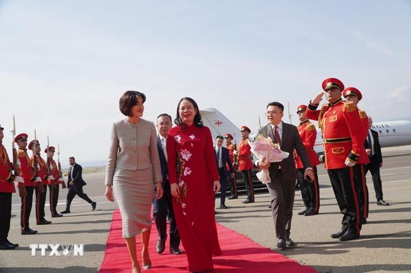 Phó Chủ tịch nước Võ Thị Ánh Xuân hội đàm với Thủ tướng Gruzia