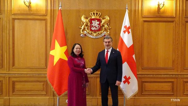 Phó Chủ tịch nước Võ Thị Ánh Xuân hội kiến Tổng thống Georgia