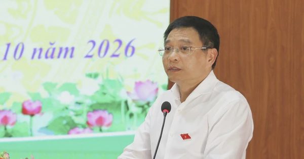 Phó thủ tướng giao nghiên cứu phụ cấp cho viên chức cấp xã, thôn đội trưởng
