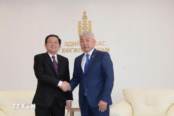 Phó Thủ tướng Hồ Quốc Dũng làm việc với Phó Thủ tướng Mông Cổ