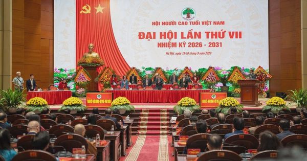 Phó tổng giám đốc Kingsport tham gia Ban Chấp hành Hội Người cao tuổi Việt Nam