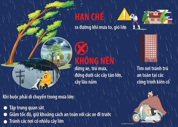 Phòng tránh tai nạn cây xanh gãy, đổ khi mưa lớn