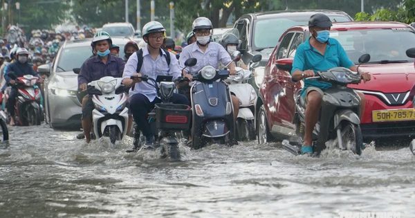 Phụ huynh TP.HCM đề xuất học trực tuyến khi mưa lớn, triều cường, Sở GD-ĐT nói gì?