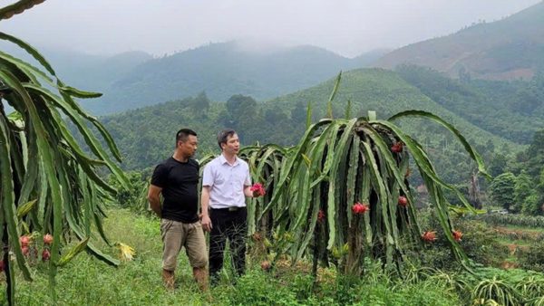 Phú Thọ: Tháo gỡ điểm nghẽn về đất đai cho hợp tác xã