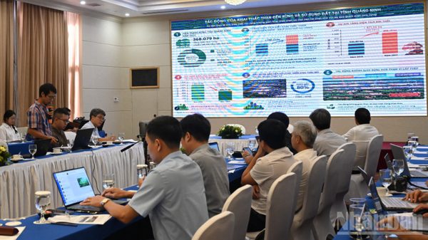 Phục hồi rừng sau khai khoáng gắn với cơ hội phát triển thị trường carbon