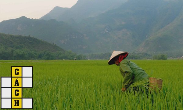 Phường nào chỉ hơn 14.000 dân, ít nhất Việt Nam?