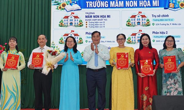Phường ở TP HCM giảm 2/3 số trường công