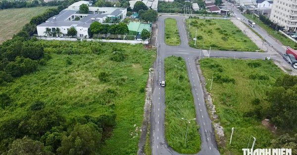 Phường Phú An ở TP.HCM lấy đất quy hoạch 'treo' xây trường tiểu học