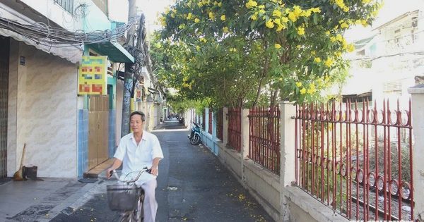 Phường Phú Nhuận cải tạo gần 3 km tuyến song hành đường sắt