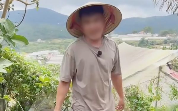 Phường Xuân Hương - Đà Lạt lý giải việc xử phạt 35 triệu với người chặt cây thông tại vườn nhà