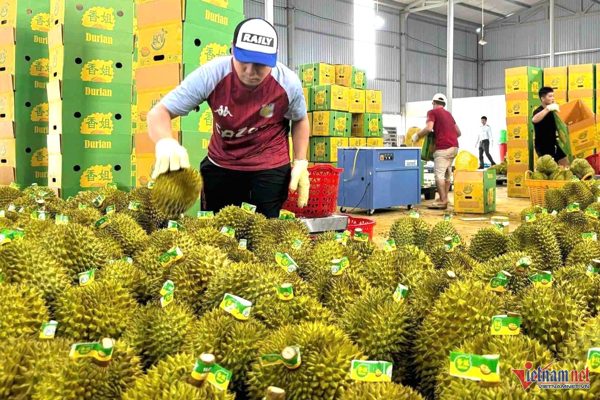 Quả tỷ USD Thái Lan, Malaysia tăng tốc, hàng Việt đối mặt sức ép lớn
