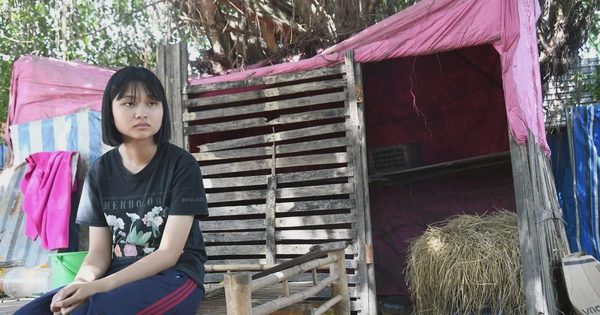 Quặn lòng cô học trò mồ côi mẹ, không nhà cửa cần được cứu giúp