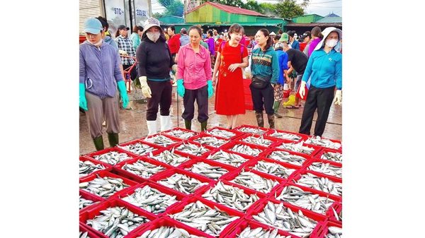 Quản lý sát hơn từ cơ sở