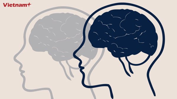 Quan niệm “não trái logic, não phải sáng tạo” dưới góc nhìn khoa học