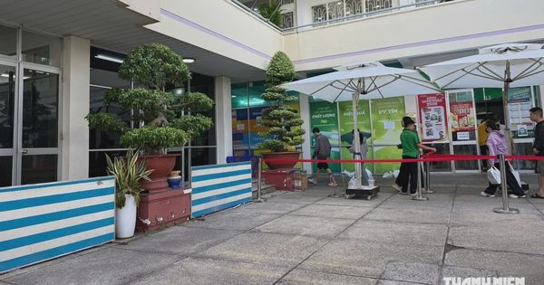 Quang đãng chiều nay, hết cảnh mua sách giáo khoa như 'săn sale'