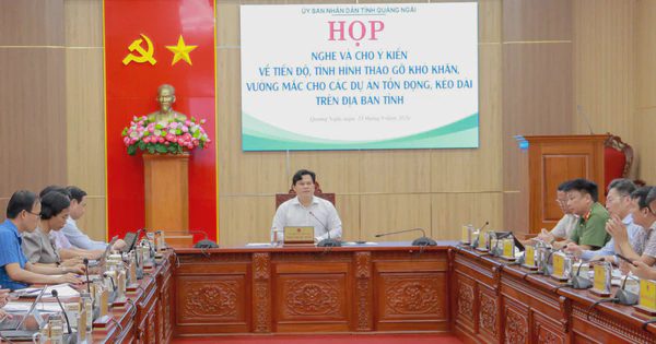 Quảng Ngãi: Gấp rút xử lý dứt điểm các dự án tồn đọng, kéo dài
