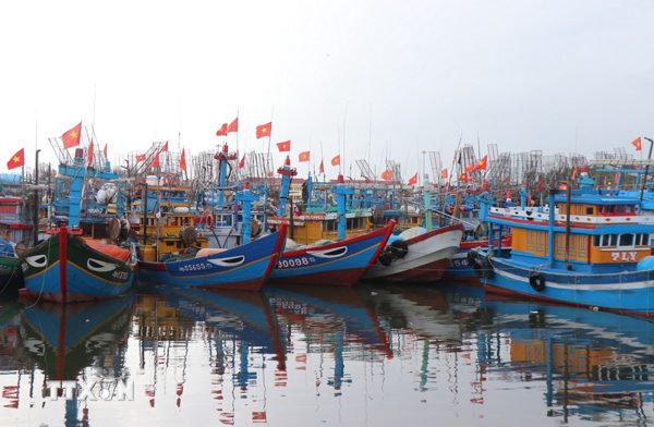 Quảng Ngãi khắc phục hạn chế trong chống khai thác IUU