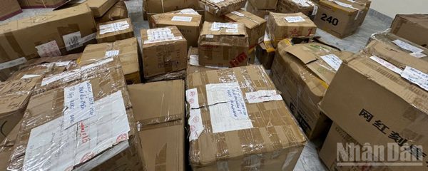 Quảng Ngãi khẩn trương xử lý tang vật, phương tiện vi phạm bị tồn đọng