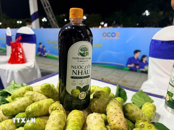 Quảng Ngãi: Những nông dân phát triển sinh kế bền vững từ cây bản địa