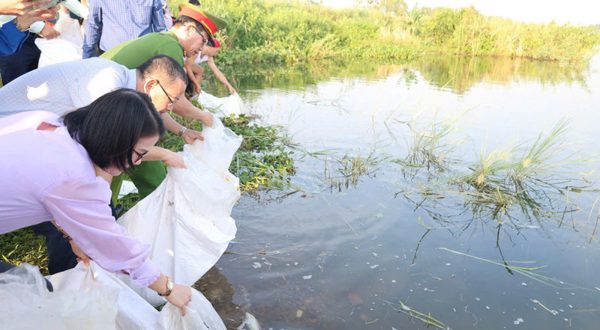 Quảng Ngãi: Thả cá giống tái tạo nguồn lợi thủy sản trên sông Trà Khúc