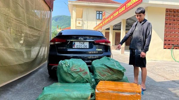 Quảng Ninh bắt vụ vận chuyển gần 300kg nầm lợn đông lạnh không rõ nguồn gốc
