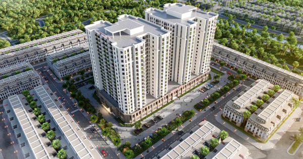 Quảng Ninh: Chấp thuận đầu tư dự án nhà ở xã hội 647 tỷ đồng tại đồi Thủy Sản
