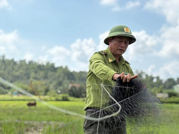 Quảng Ninh gỡ lưới, tháo cọc bảo vệ chim di cư