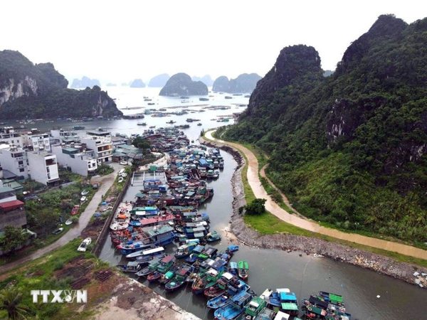 Quảng Ninh lập thêm 7 điểm tạm thời kiểm tra, kiểm soát tàu cá