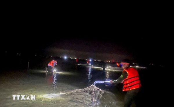 Quảng Ninh xử lý triệt để vi phạm nuôi trồng thủy sản trên biển