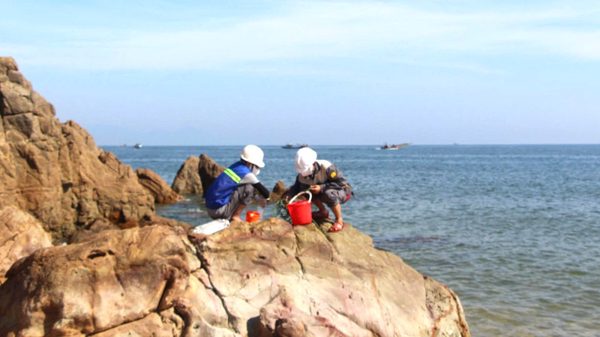 Quảng Trị: Cá biển chết không phải do ô nhiễm môi trường nước