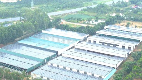Quảng Trị hỗ trợ hộ gia đình lắp đặt điện mặt trời mái nhà