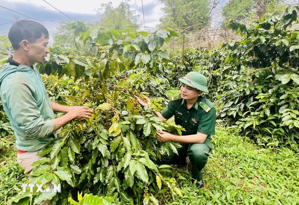 Quảng Trị huy động gần 135 tỷ đồng thúc đẩy công nghiệp nông thôn