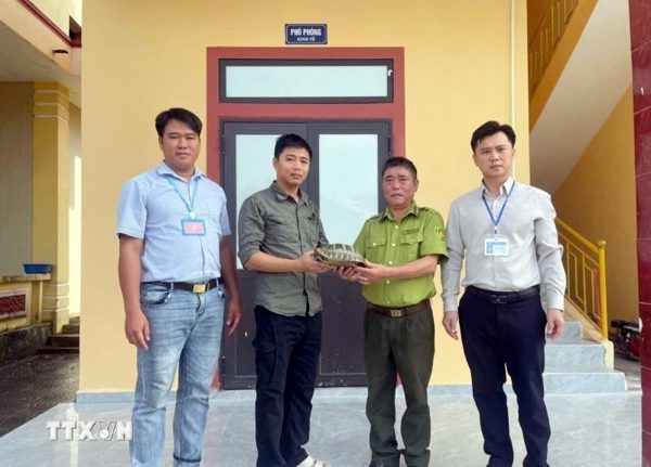 Quảng Trị tiếp nhận, cứu hộ 3 cá thể động vật hoang dã