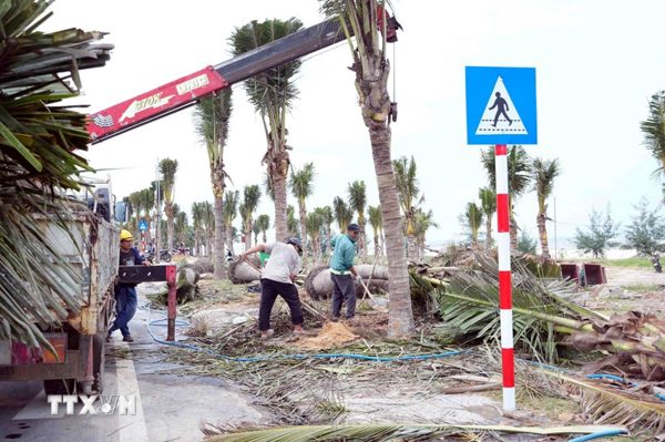 Quảng Trị tổ chức lại không gian, chỉnh trang và phát triển du lịch biển