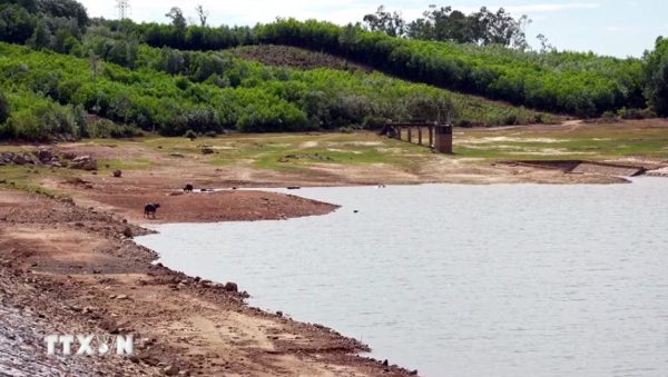 Quảng Trị ưu tiên đầu tư, sửa chữa 55 công trình hồ, đập thuỷ lợi