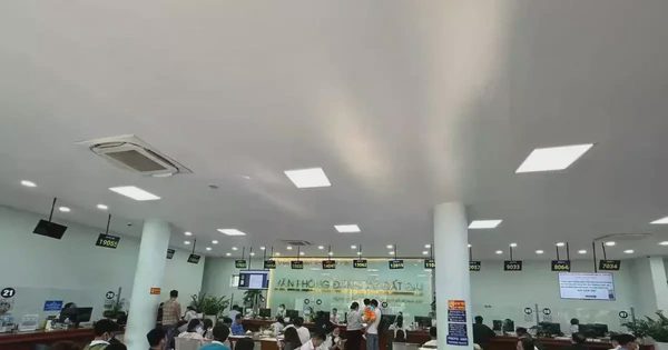 Quy định mới thủ tục đất đai ở TPHCM: Không cần đến nơi có nhà đất