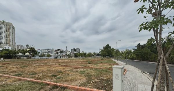 Quy định tách thửa mới: Cần ban hành tiêu chí kỹ thuật rõ ràng