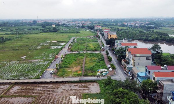 Quy định thế nào là đất bỏ hoang, bị đánh thuế?