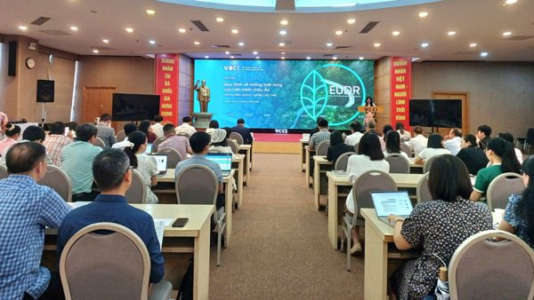 Quy định về chống mất rừng của Liên minh châu Âu (EUDR) và những điều doanh nghiệp cần biết