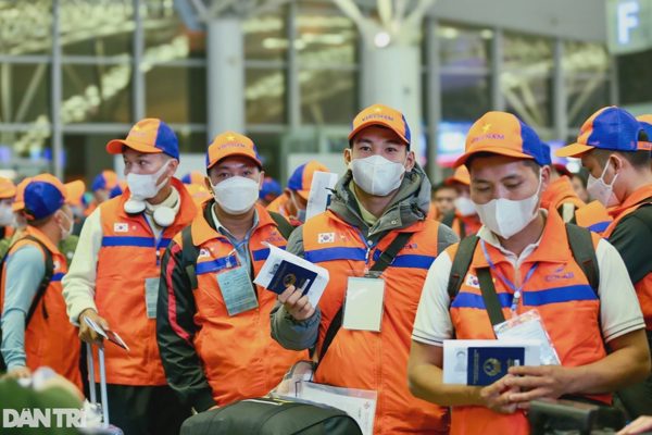 Quỹ Hỗ trợ việc làm ngoài nước hỗ trợ trực tiếp lao động và doanh nghiệp