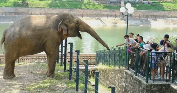 Quy hoạch một phần Công viên Thủ Lệ sang mô hình ‘trải nghiệm sinh cảnh hoang dã tự nhiên’