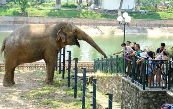 Quy hoạch một phần Công viên Thủ Lệ sang mô hình ‘trải nghiệm sinh cảnh hoang dã tự nhiên’