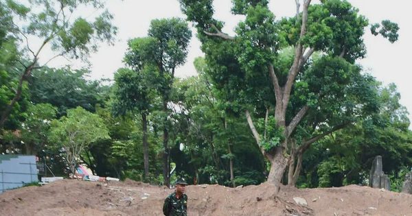 Quy tập 713 hài cốt liệt sĩ tại công viên Lê Thị Riêng