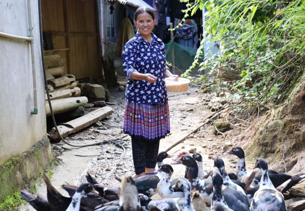 Quỹ Vì Tầm Vóc Việt thúc đẩy tài chính cho bình đẳng giới cùng UN Women