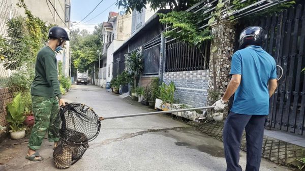 Quyết tâm phòng, chống bệnh dại