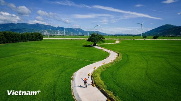 Ra mắt tour xuyên Việt lạ lùng: Khách có thể chọn điểm lên đường rồi... bỏ dở
