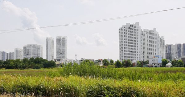 Rà soát nhà, đất của các doanh nghiệp Nhà nước