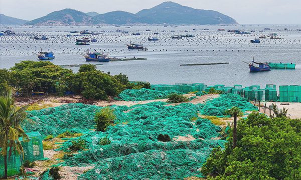 Rác từ lồng tôm hùm bủa vây bờ biển Cam Ranh