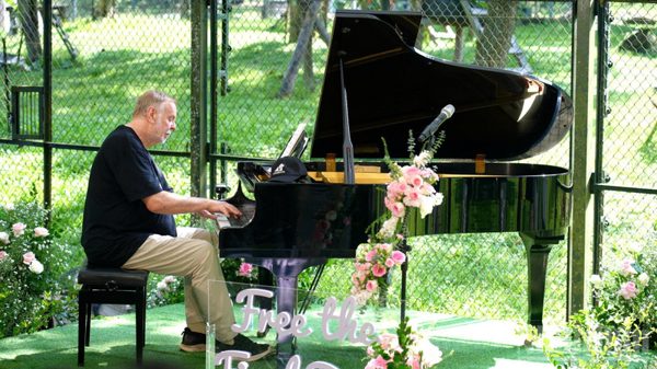 Rick Wakeman biểu diễn piano giữa rừng Tam Đảo, dành tặng những cá thể gấu được giải cứu